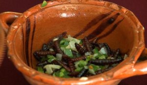 Nourriture à base d'insectes contre fast food au Mexique