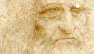 Le Vol des oiseaux de Léonard de Vinci à Washington