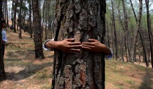 Journée de l'Environnement: des Népalais enlacent des arbres