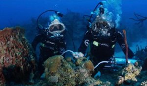 Floride: 31 jours sous les mers pour le petit-fils Cousteau