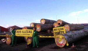 Greenpeace "saisit" à La Rochelle du bois du Congo et Brésil