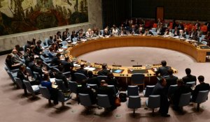 Syrie : veto de Moscou et Pékin à la résolution française sur la saisine de la CPI