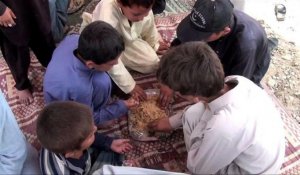 Pakistan:200.000 personnes fuient l'offensive contre les taliban