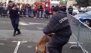 Gendarmes et pompiers en démonstration 