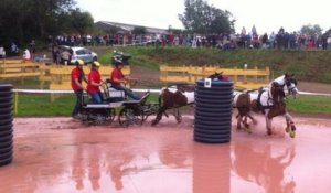 Un marathon d'attelage impressionnant