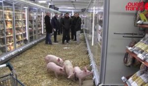 Crise porcine : les éleveurs s'invitent au supermarché près de Rennes