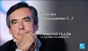 Fillon a-t-il sollicité l'Élysée pour faire chuter Sarkozy ?