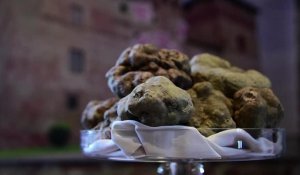 Italie: une truffe blanche vendue pour 100.000 euros