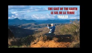 The Salt of the Earth / Le Sel de la Terre - Release : 12/11/2014