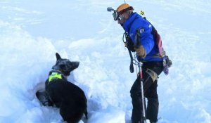 Exercice d'avalanche "grandeur nature" aux Deux-Alpes