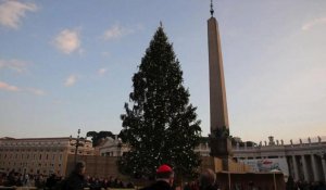 La place Saint-Pierre accueille un sapin de Noël venu de Bavière