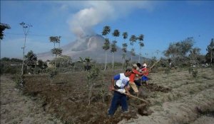 Indonésie: près du Sinabung les fermiers se remettent au travail