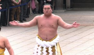 Japon: pélerinage de deux champions de sumo