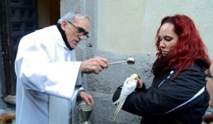 Madrid: bénédiction des animaux pour la Saint-Antoine