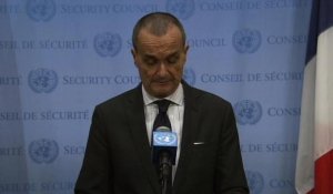 L'ONU autorise une intervention française en Centrafrique