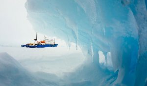 Antarctique : l'évacuation des passagers du navire russe a débuté