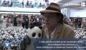 1 600 pandas envahissent l'aéroport de Hong Kong