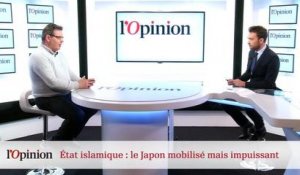 Etat islamique : le Japon mobilisé mais impuissant
