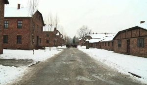 70 ans de la libération d'Auschwitz : d'anciens détenus au camp