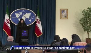 L'Iran "ne confirme pas" avoir mené des raids contre l'EI