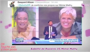 Public Zap: Babette de Rozières VS Mimie Mathy : "Cette histoire pue" d'après les chroniqueurs de TPMP !