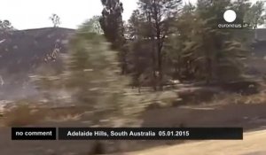 Australie : feux de forêts après une année de fortes chaleurs