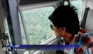 Déforestation en Indonésie:  Greenpeace accuse Procter & Gamble