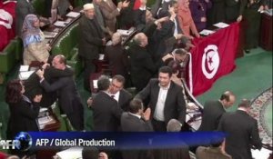 La Tunisie a adopté une nouvelle Constitution