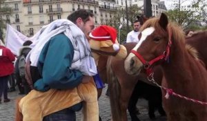 "Hollande t'es foutu, les poneys sont dans la rue"