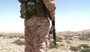 Syrie: au Qalamoun, le Hezbollah livre sa bataille la plus dure
