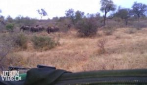 ok-Elephant ATTACKS Safari Jeep _ EXCLUSIVE Footage [Never Befo-1