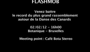 Flashmob / Danse des Canards / Chorégraphie / Teasing 1