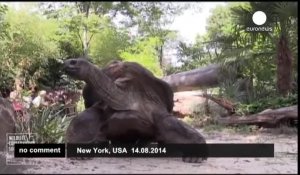 Des Seychelles au zoo du Bronx...