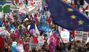 La Manif pour tous défile à Paris