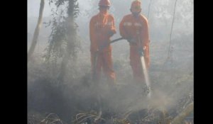 Sumatra: des feux provoquent une pollution record
