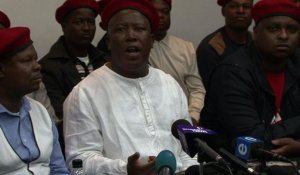 Afrique du Sud: Malema va lancer un parti pour défier l'ANC