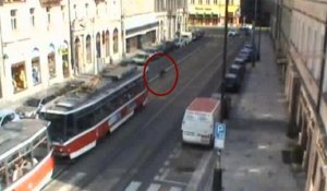 Insolite: un sanglier affole les rues de Prague