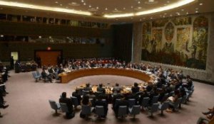 Réunion d'urgence de l'ONU sur l'usage présumé d'armes chimiques en Syrie