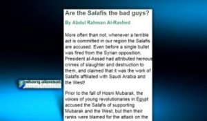 "Qui sont les salafistes?"