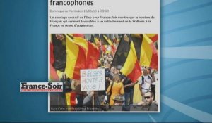 Belgique : Les Français prêts à adopter les Wallons (sondage)