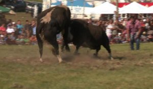 En Bosnie, une corrida qui brise les divisions ethniques