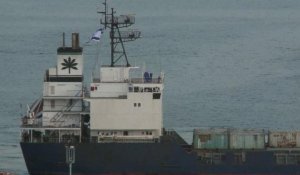 Arrivée en Israël du bateau chargé "d'armes iraniennes"