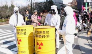 Trois ans après Fukushima, quelle politique énergétique pour le Japon ?