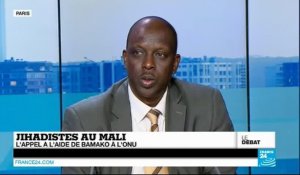 Jihadistes au Mali : l'appel à l'aide de Bamako