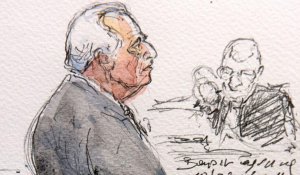 DSK face au juge : "J'ai horreur des relations sexuelles tarifées"