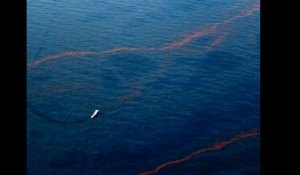 Louisiane : la pire marée noire des Etats-Unis ?