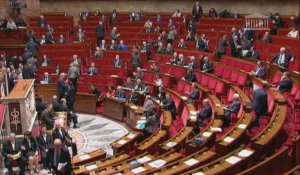 Loi Macron : la majorité divisée après le recours à l'article 49-3
