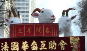 Paris célèbre le nouvel an chinois sous le signe de la chèvre