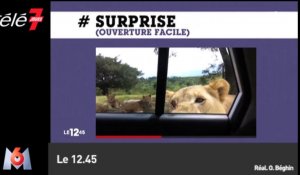 Le zapping du 11/03 : Une lionne s'introduit dans la voiture d'une famille !