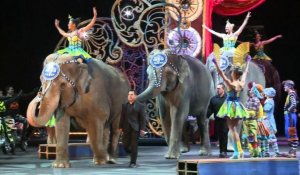 Les éléphants du cirque Barnum tireront leur révérence en 2018